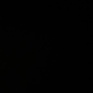 Meet your Posher, Logan